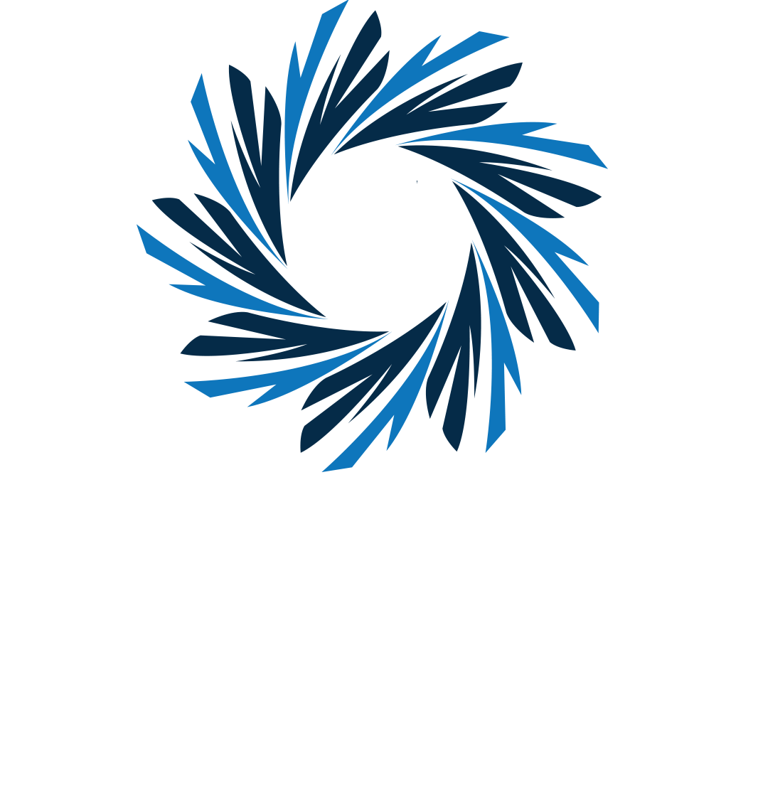 LOGO VORTEX BATERIAS2